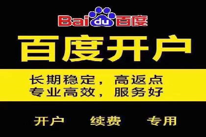 成功案例揭秘：百度SEO推广公司如何助力企业品牌建设